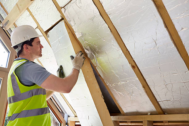 Best Residential Insulation in Lake Ssota, WI